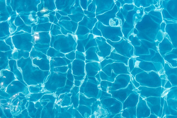 Clean backyard pool in Sanibel Island, Iona & McGregor